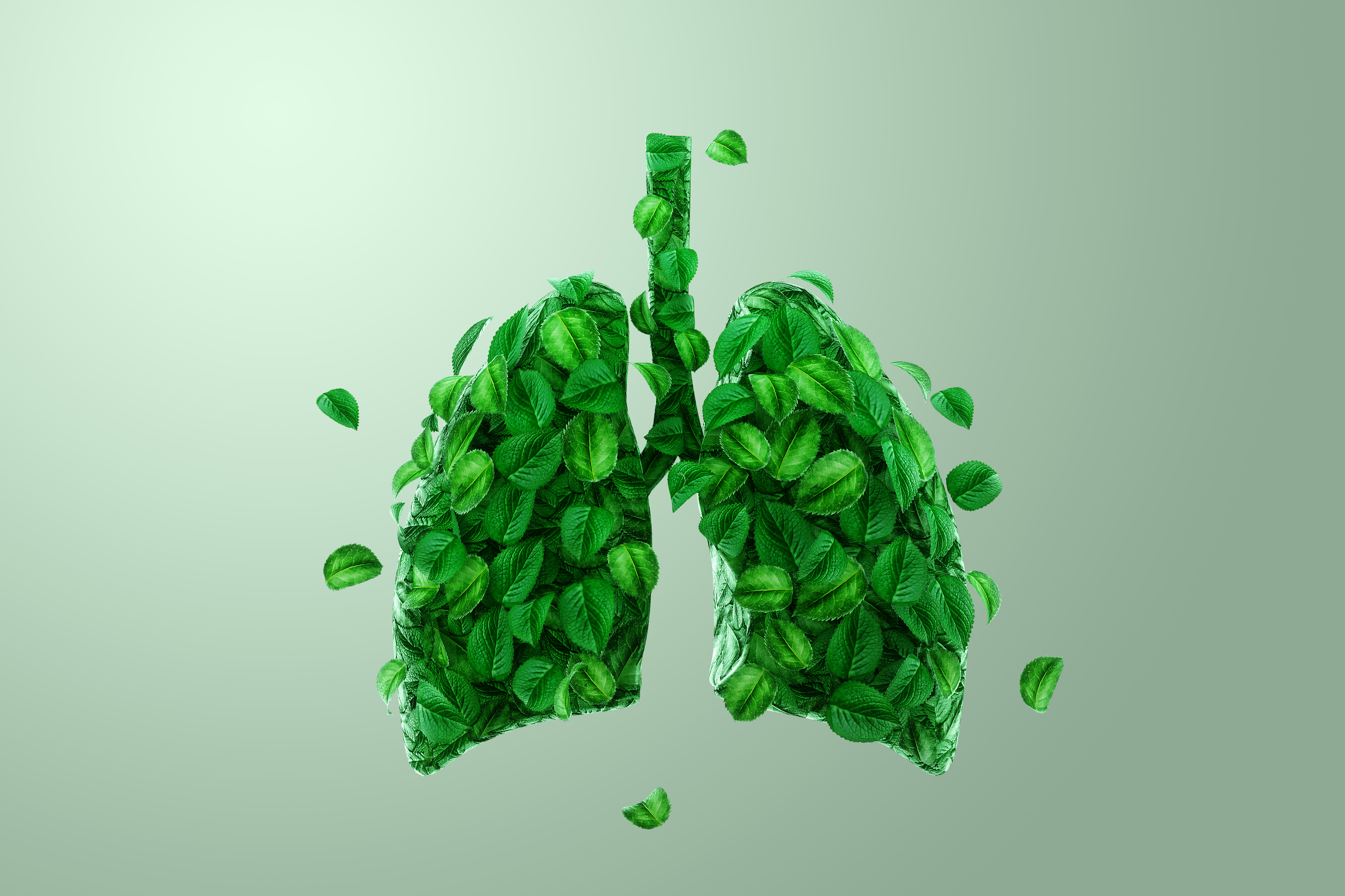 Immunity & Respiratory Health banner